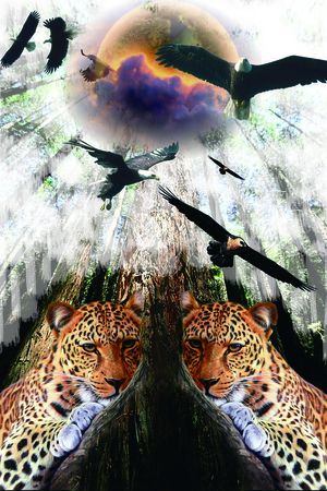 动物印花华亿平台图片