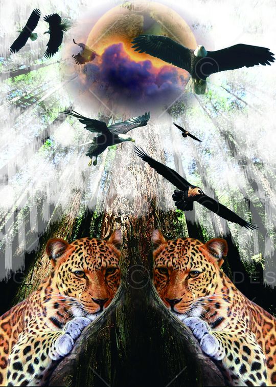 动物印花华亿平台图片