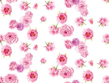 421846- 纯色手绘牡丹花花卉数码印花 