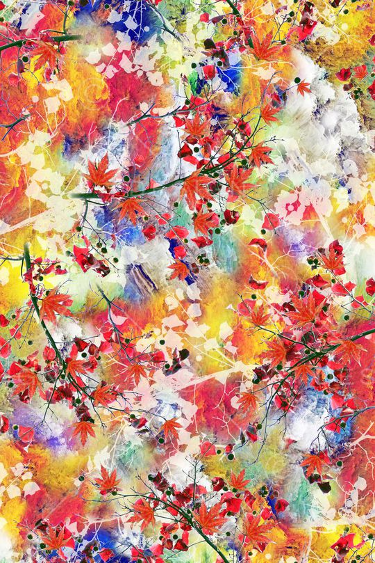 红枫叶 抽象 花卉印花华亿平台图片