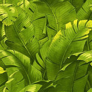 美式花卉印花华亿平台图片