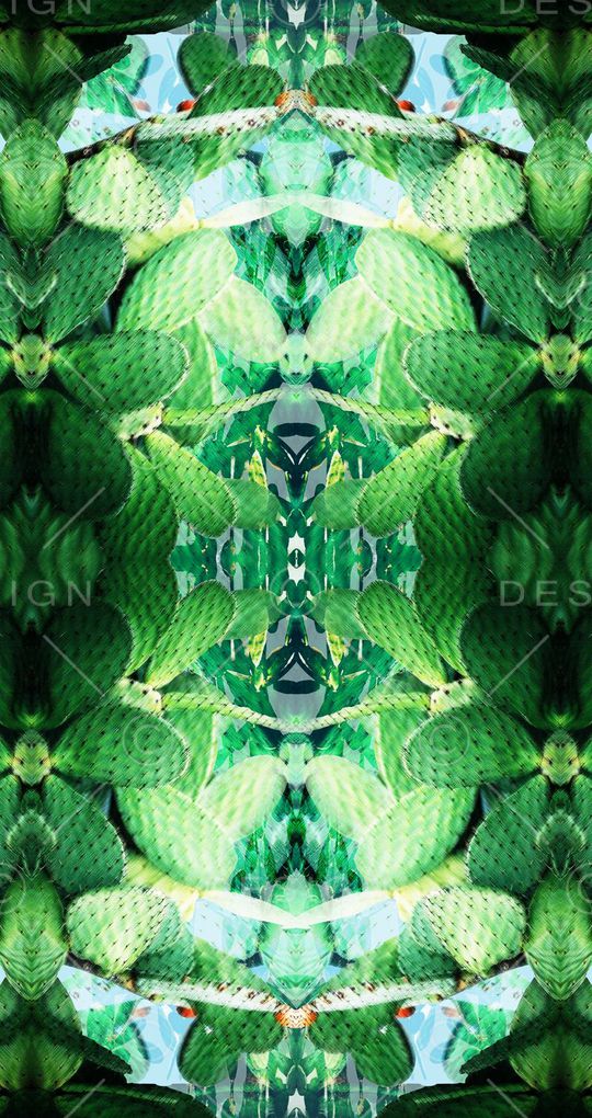 甜美 清新印花华亿平台图片