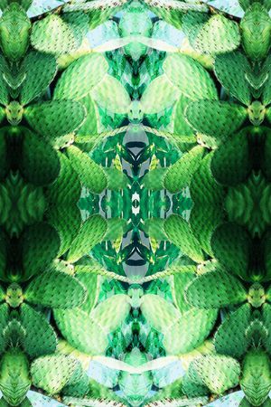 甜美 清新印花华亿平台图片