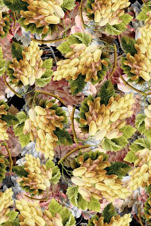 手绘水果印花华亿平台图片