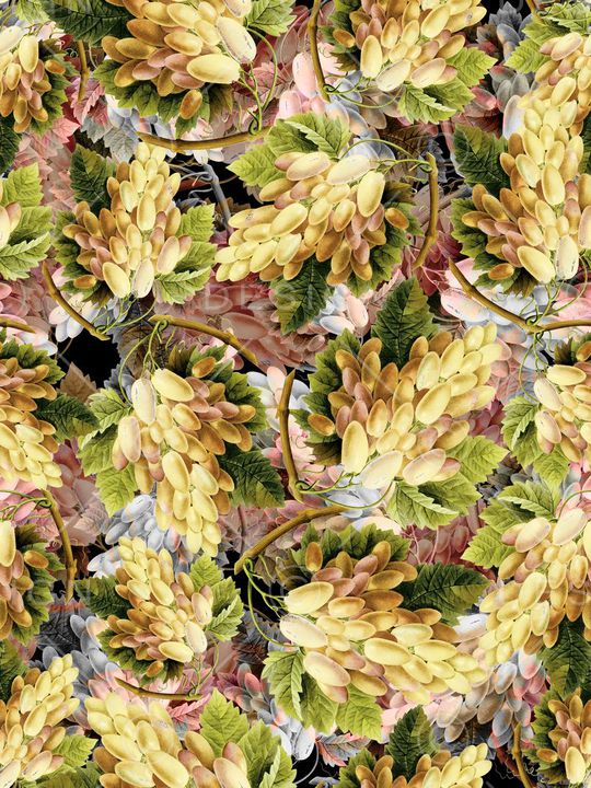 手绘水果印花华亿平台图片