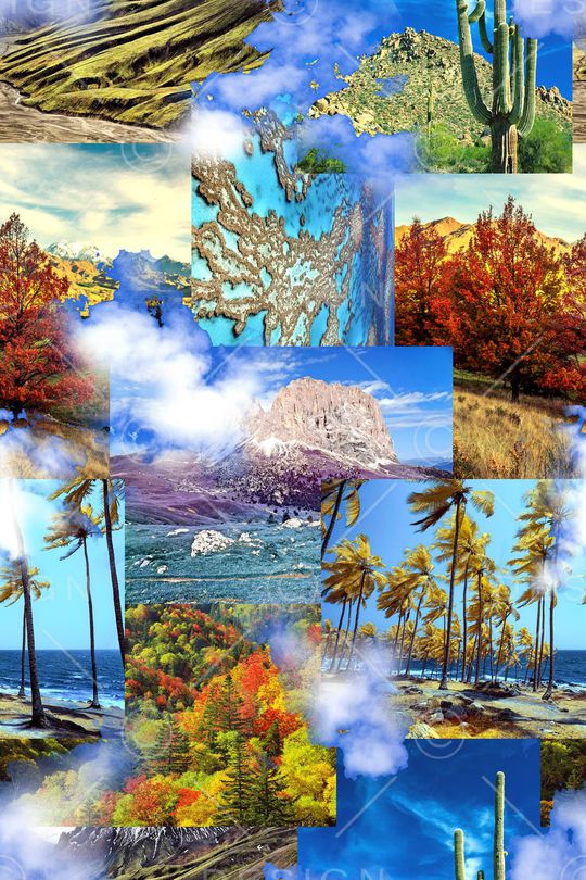 时尚印花华亿平台图片