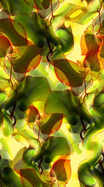 422298-抽象 创意 树叶 原创 服装 