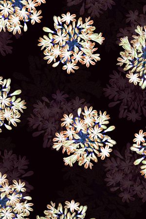 时尚花印花华亿平台图片