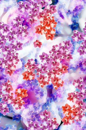 动感炫彩印花华亿平台图片