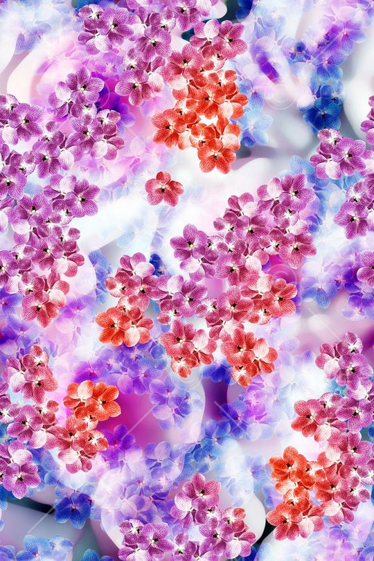 动感炫彩印花华亿平台图片