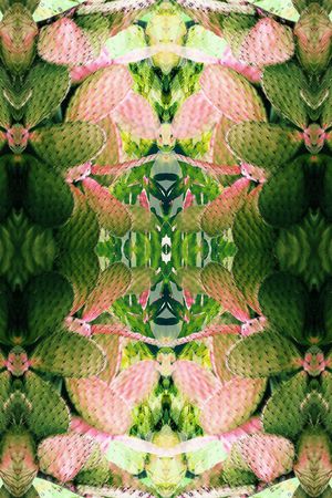 甜美 清新印花华亿平台图片