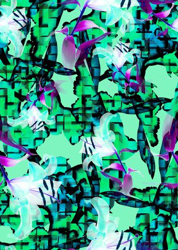 422741-抽象机理 原创 创意 花卉 通透 