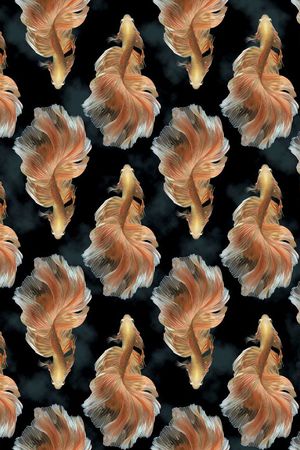 黑底印花华亿平台图片