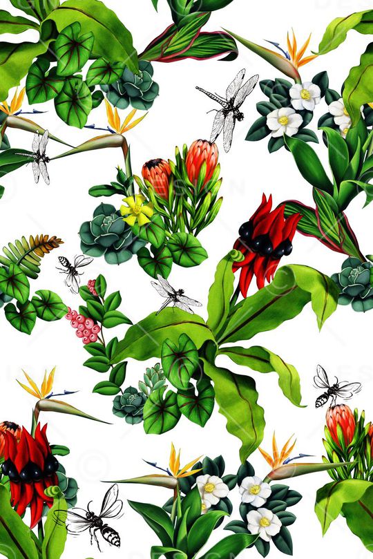 数码大牌时尚男装女装 热带印花华亿平台图片