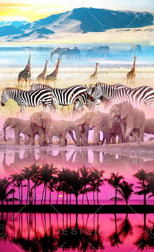 斑马印花华亿平台图片