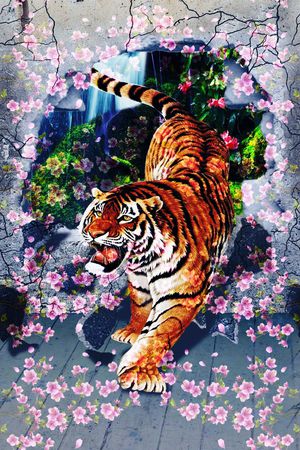 3d印花华亿平台图片