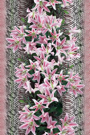 蛇纹印花华亿平台图片