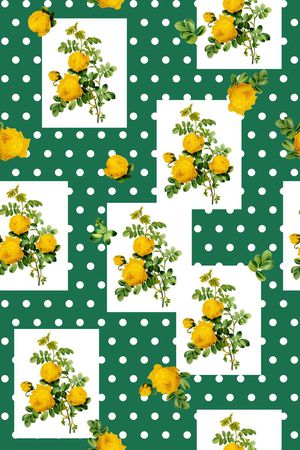 时尚波点印花华亿平台图片