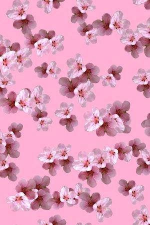 清新印花华亿平台图片