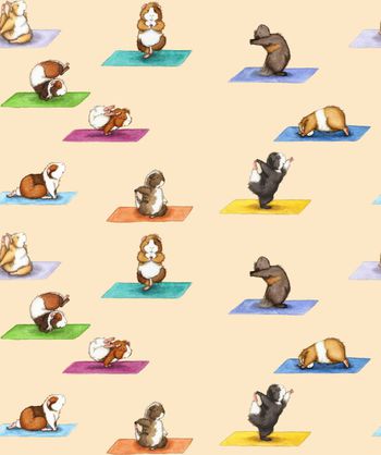 423687-做瑜伽的小刺猬