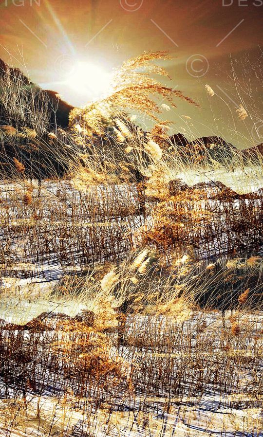 冬日印花华亿平台图片