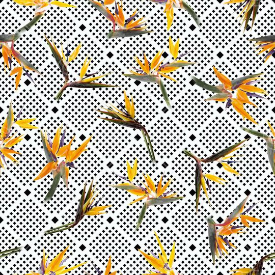 天堂鸟印花华亿平台图片