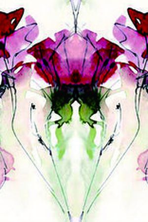 华丽印花华亿平台图片