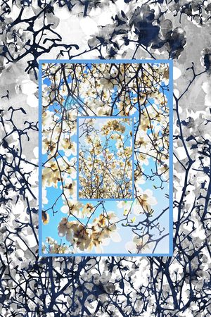 男装印花华亿平台图片