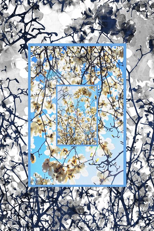 男装印花华亿平台图片