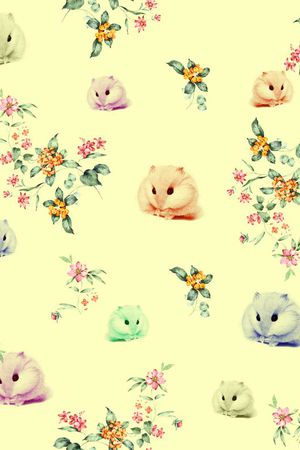 手绘小百合印花华亿平台图片