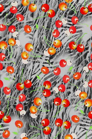 斑马纹印花华亿平台图片