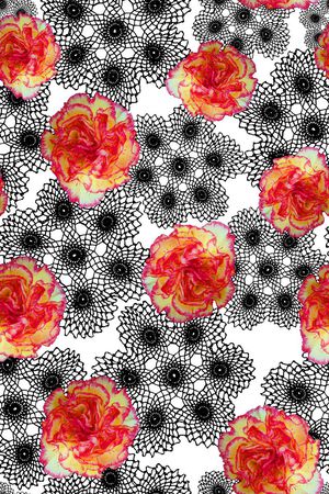 蕾丝印花华亿平台图片