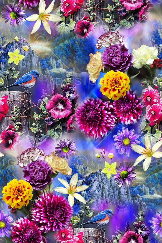 时尚 优雅印花华亿平台图片