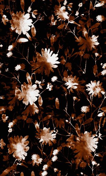 424425-黑白水墨效果枝叶花卉层叠隐约若隐若