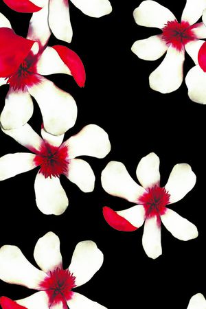 白花印花华亿平台图片