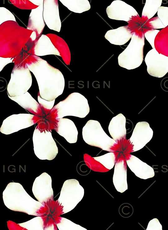 白花印花华亿平台图片