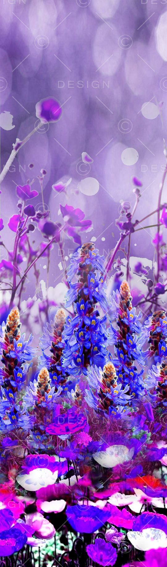 女装印花华亿平台图片