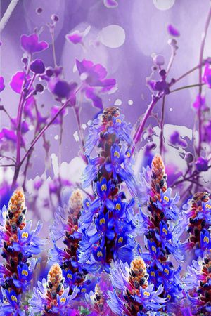 女装印花华亿平台图片