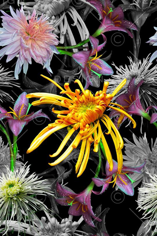 花卉组合印花华亿平台图片