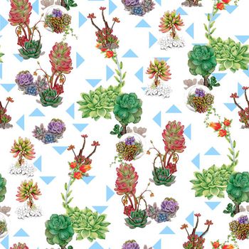 424874-可爱爆的肉肉组合