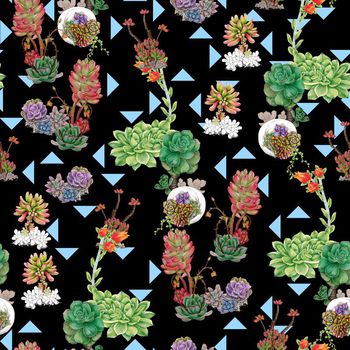 424875-可爱爆的肉肉组合