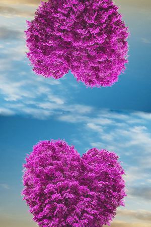 爱心印花华亿平台图片