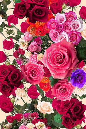 裙子印花华亿平台图片