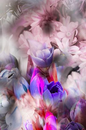 民族风印花华亿平台图片