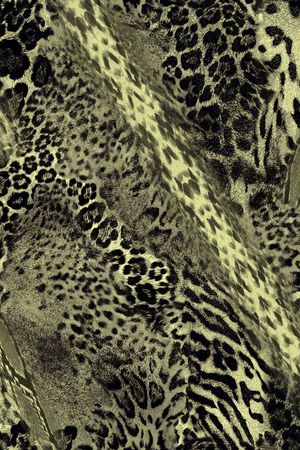 动物纹印花华亿平台图片