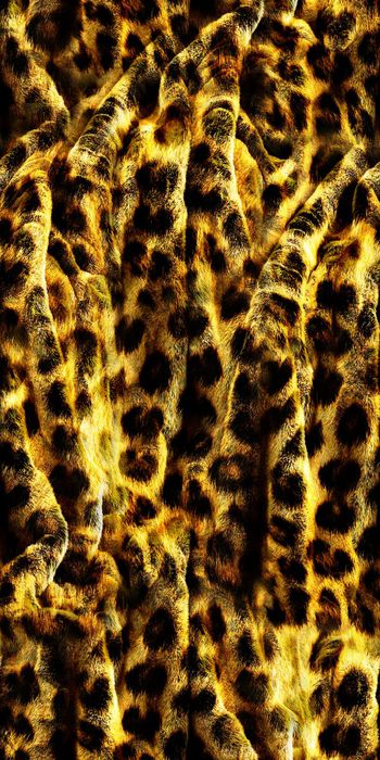 424943-复古 豹纹 动物纹   数码   