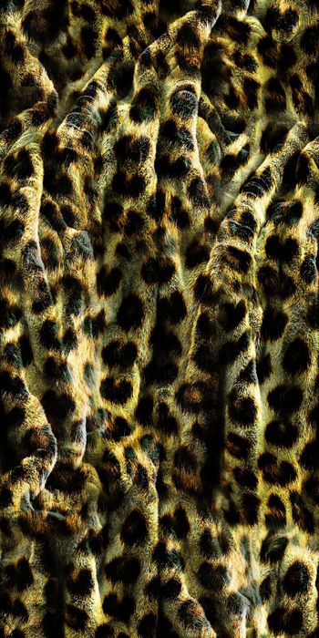 424944-复古 豹纹 动物纹   数码   