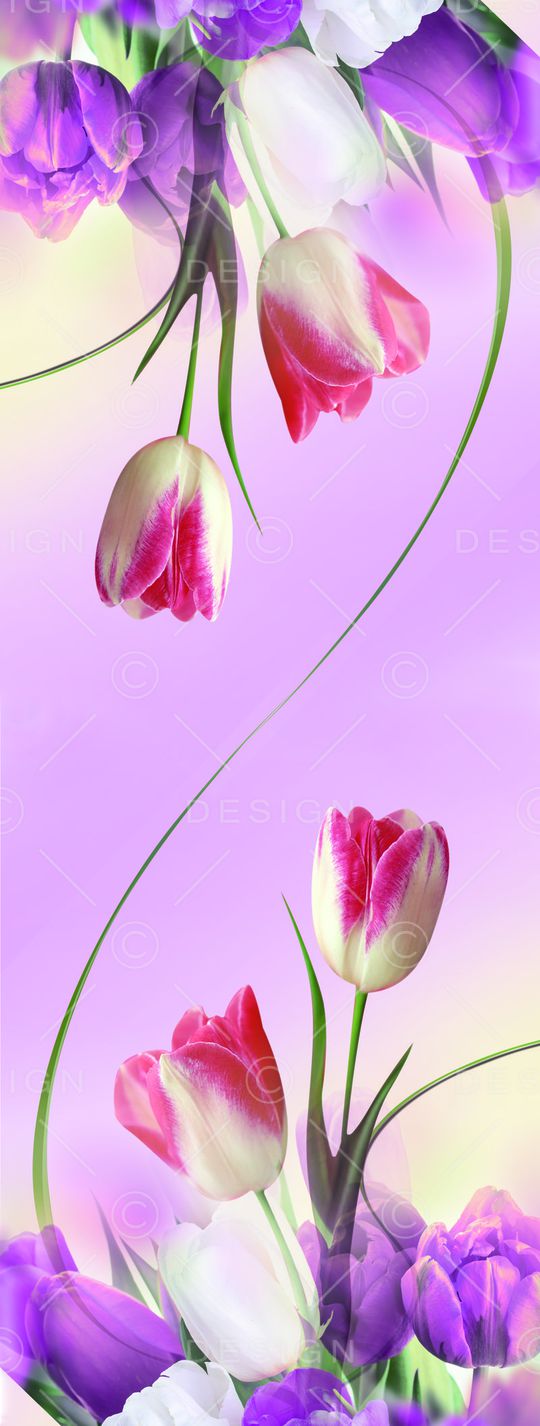 唯美印花华亿平台图片