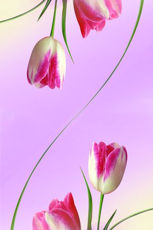 唯美印花华亿平台图片