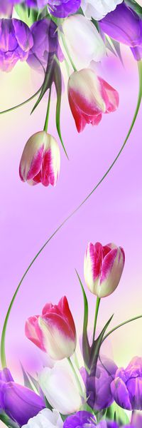 唯美印花华亿平台图片